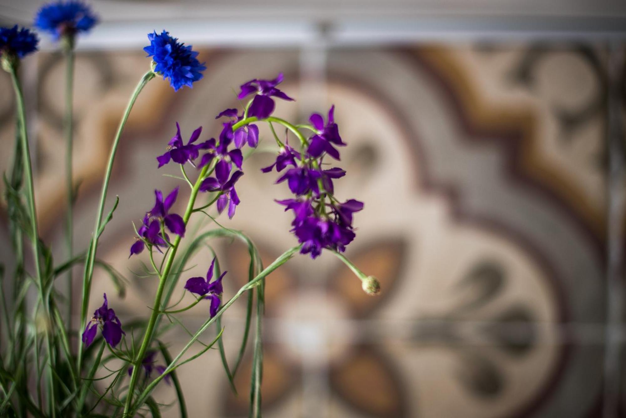 Agriturismo Casalino18 Tognazza 외부 사진