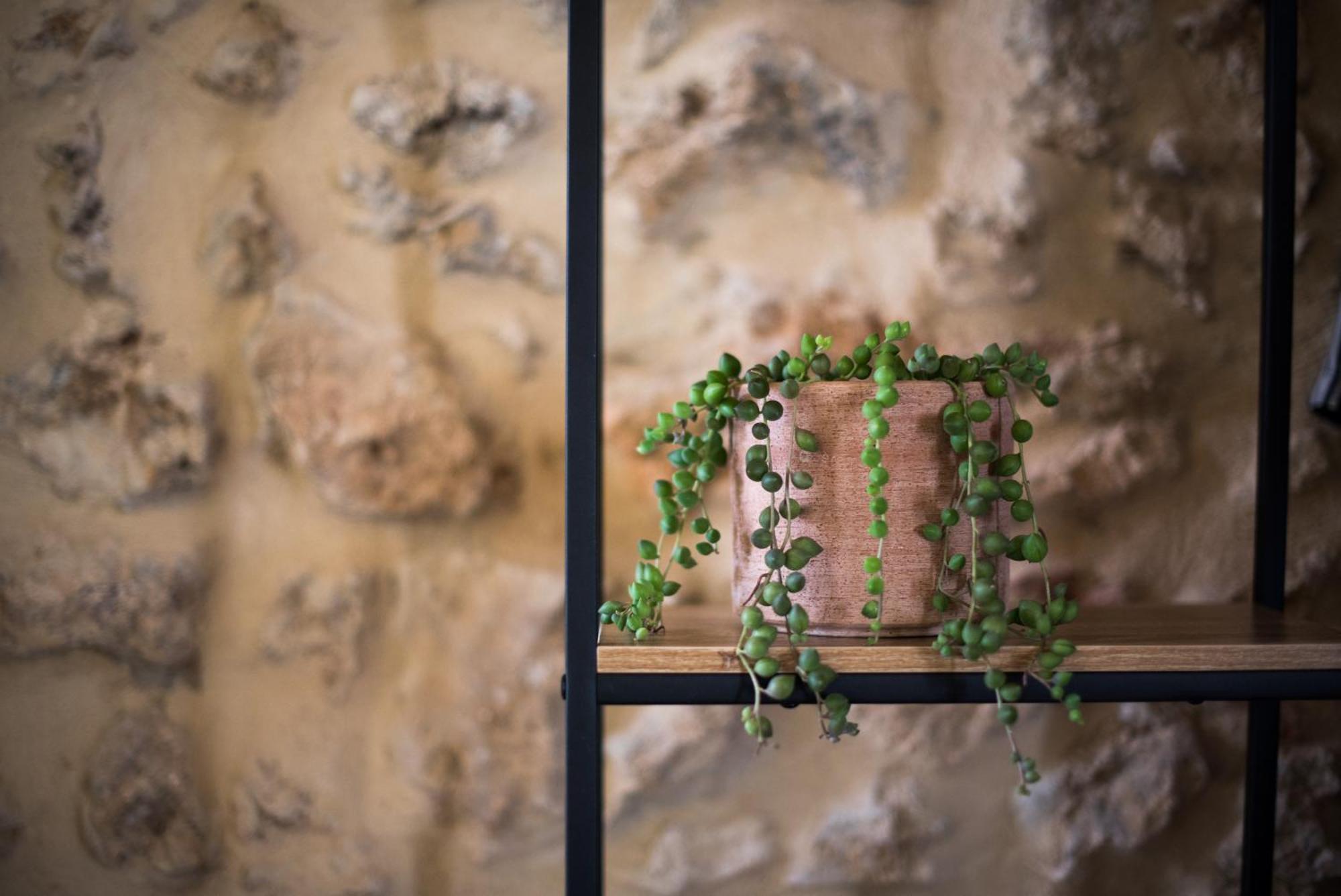 Agriturismo Casalino18 Tognazza 외부 사진